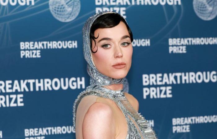 Katy Perry is tired of being the “human piñata” of the Internet