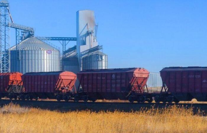 Kazakhstan resumes wheat exports to Morocco for the first time since 2008
