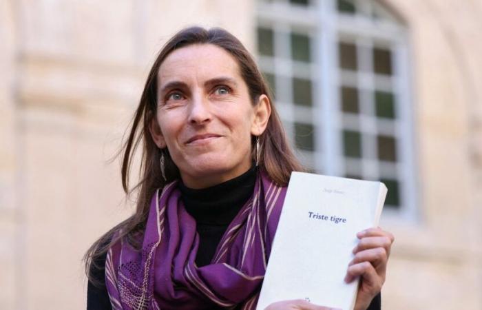 Sinno snow, Vanessa Springora, Camille Kouchner and the curse of the second book – L’Express