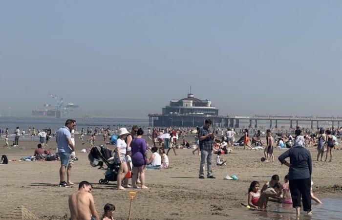 Kuststad looks at tourists and themselves after waste on the beach: “It is an EN-EN story” (Blankenberge)