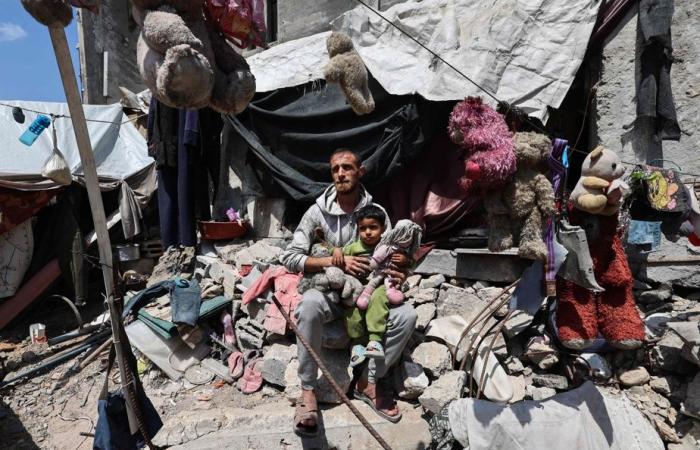 Gaza | Humanitarian operations “on the verge of total collapse,” said the Red Cross