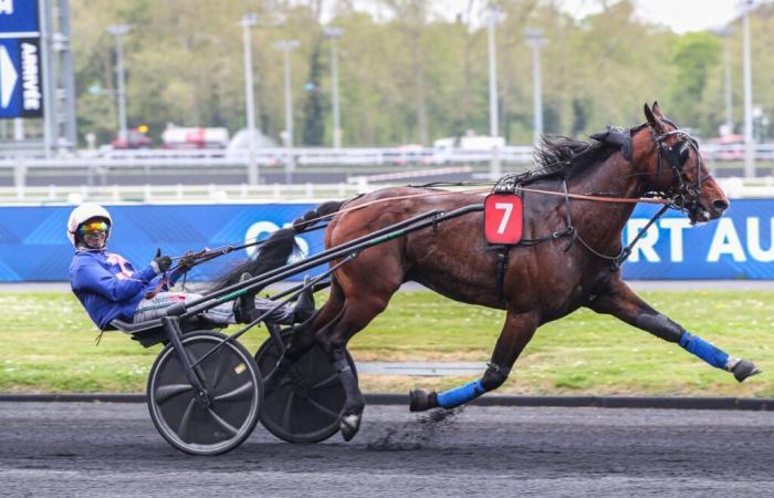 Quinté + from 03/05/2025 to Vincennes: Kanto Avis wants to settle