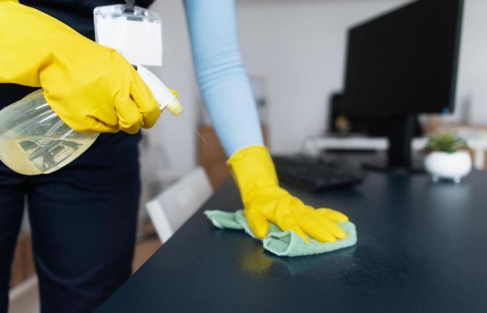 employees of the Pronet cleaning company in search of solutions