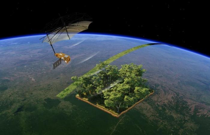 What is this biomass satellite, “world premiere” that will tell us more about tropical forests?