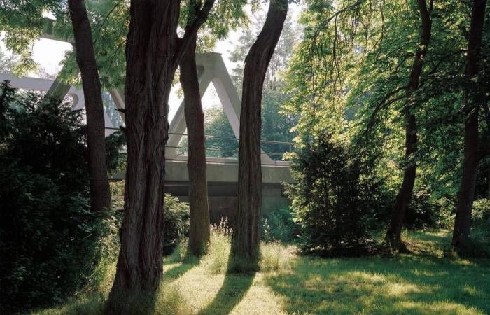 Connected at the time, Bienne’s photographic days explore uncertain horizons