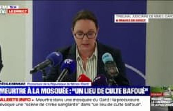 The press conference of the Nîmes prosecutor in full