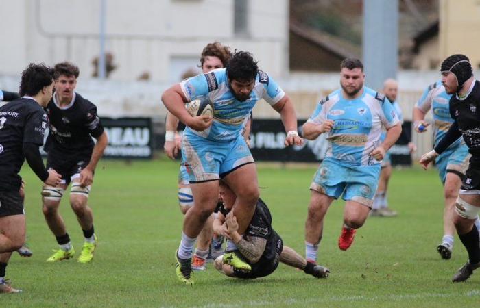 Rugby (Federal B): Cahors Rugby hopes start the final stages