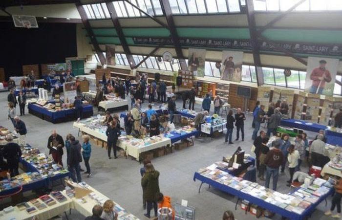 Pyrenean book festival: nature, art and cross -border culture