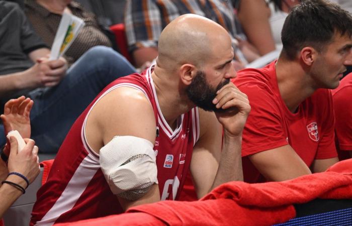 Basketball (Betclic Elite): Elan Chalon does the job against Strasbourg