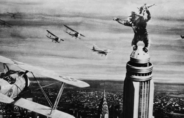 Female looks on the Israeli-Palestinian conflict, genesis of King Kong, Spielberg evening and Belgian Cup final