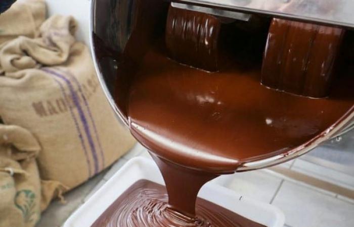 Cocoa crisis: towards a flood of low -end products