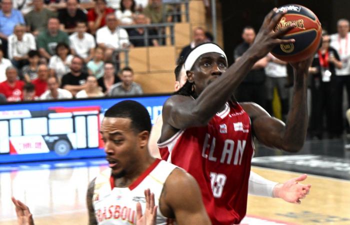 Basketball (Betclic Elite): Elan Chalon does the job against Strasbourg