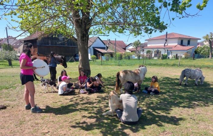 A camp to learn how to make a link with animals and know how to listen to them