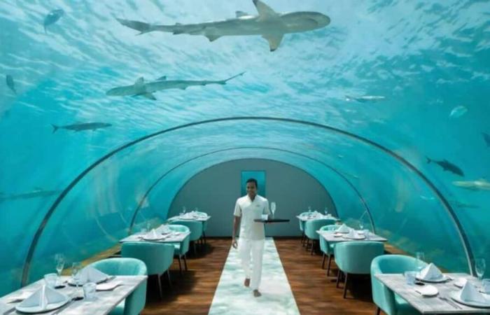 In pictures | Here are 4 luxury travel ideas to make you dream