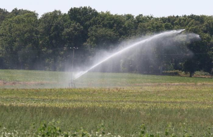 “It is necessary to inform, without disinform”: after the report of the ANSES on the soy, the farmers of the Gers fear a domino effect
