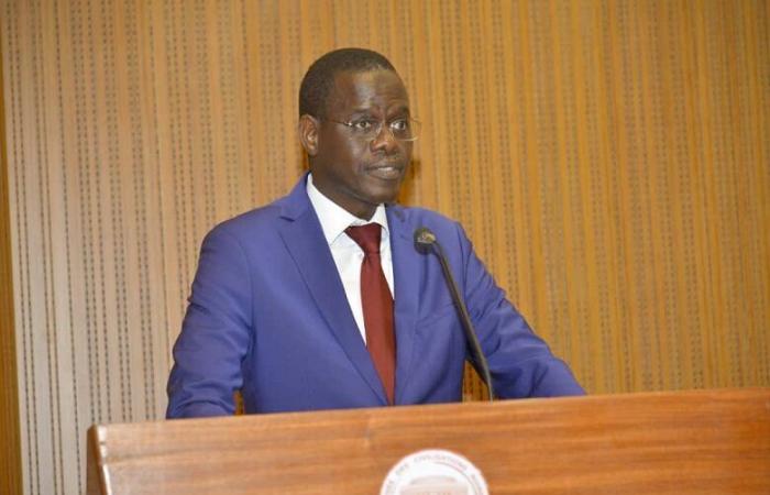 Appointed Minister to the President of the Republic, what are the attributes of Ahmadou Alhaminou Mohamed Lo?