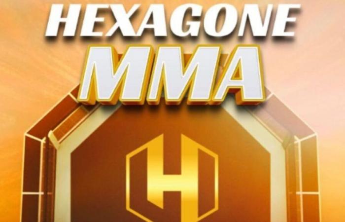 MMA hexagon broadcast: What time and on which channel to see the fights live?