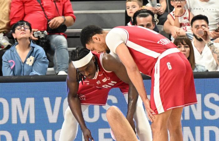 Basketball (Betclic Elite): Elan Chalon does the job against Strasbourg
