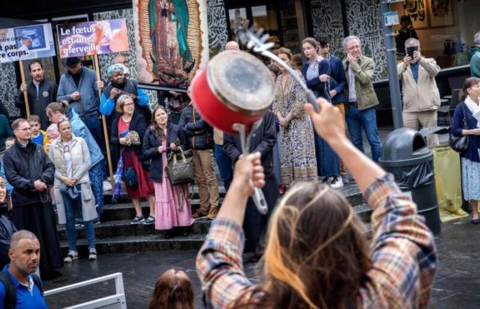 Geneva: demonstrators disrupt an anti-SIVG rally
