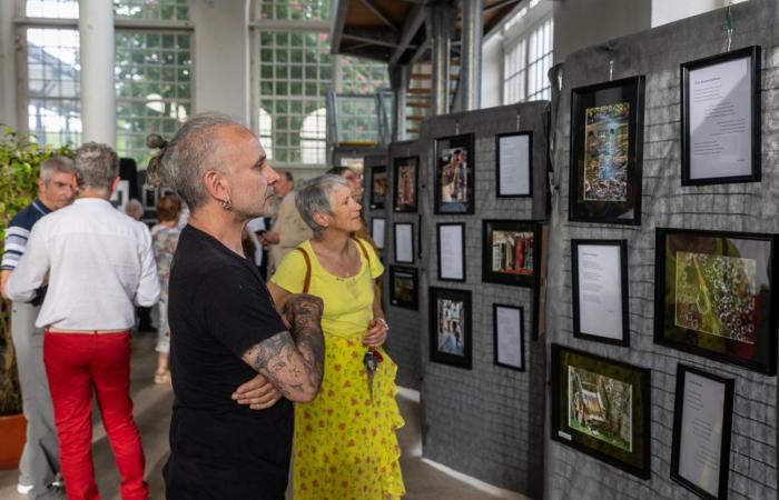Le Creusot: The spring of the photo flourishes in the heritage hall