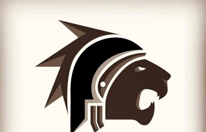 Follow (from 7:10 pm) the “Live Web TV” CA Périgueux vs Rouen Normandie Rugby (#Nationale 1/4 final) – the #magsport