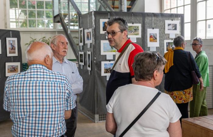 Le Creusot: The spring of the photo flourishes in the heritage hall