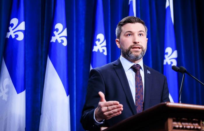 Québec Solidaire | Sol Zanetti manifests its interest in becoming co-spokesperson