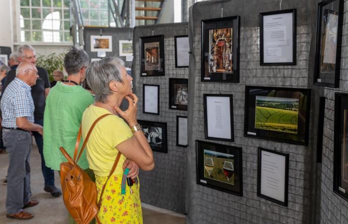Le Creusot: The spring of the photo flourishes in the heritage hall