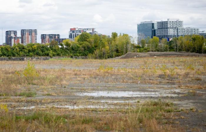 Major projects in the Montreal region | You have to speed up the rate, argues the home industry