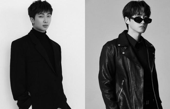 Namjoon and Tablo touch fans in the heart with their song “Stop the Rain”