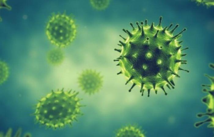 The influenza epidemic persists in the Antilles