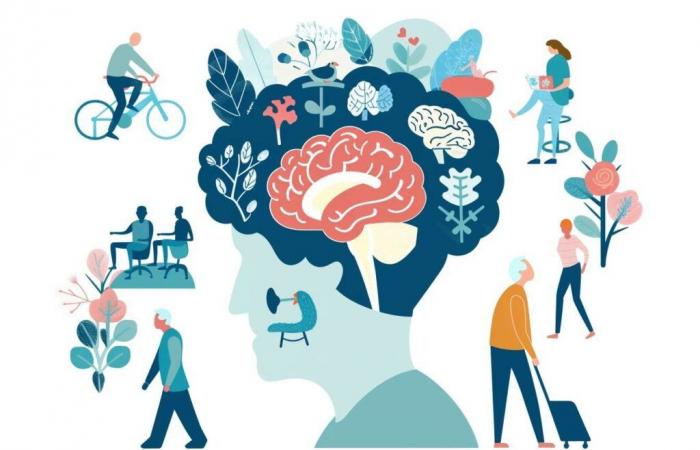 Researchers observe in real time the progression of dementia thanks to living brain cells