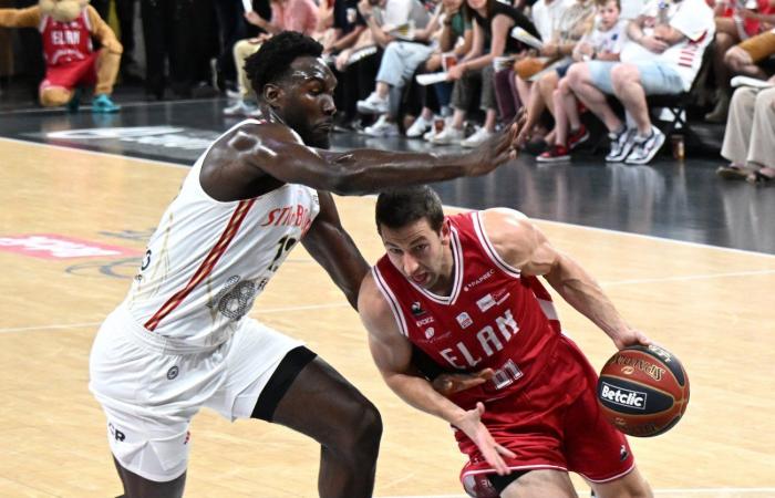 Basketball (Betclic Elite): Elan Chalon does the job against Strasbourg