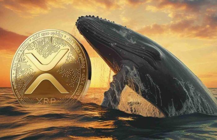 Is the price target of $ 5 at hand?