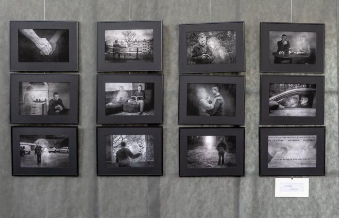 Le Creusot: The spring of the photo flourishes in the heritage hall