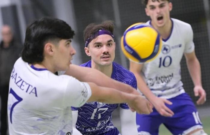 Volleyball. Male elite: Cesson Saint-Brieuc wants to finish the job and ensure its maintenance.