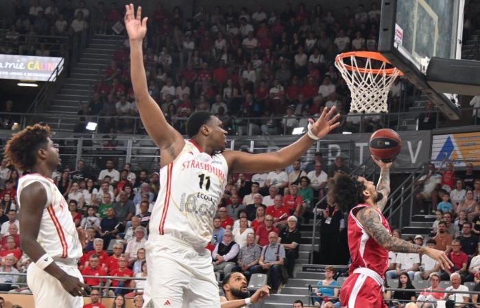 Basketball (Betclic Elite): Elan Chalon does the job against Strasbourg