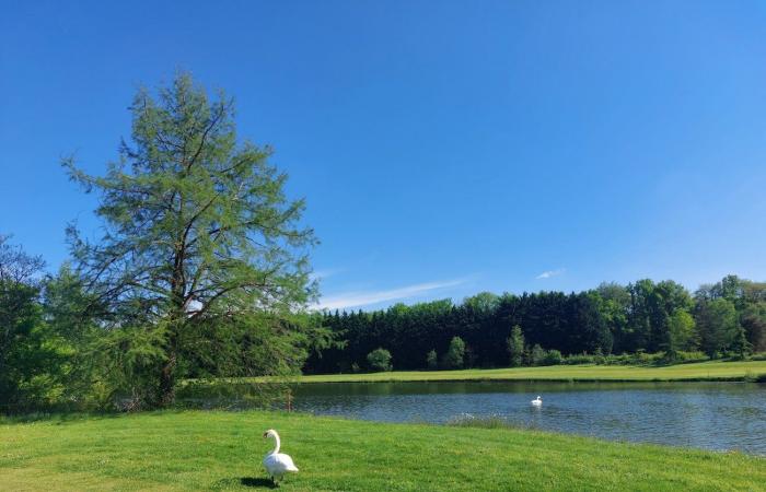 Golf: Winners, Marie-Ange Michaud and Bertrand Billebeau were not unemployed on May 1st!