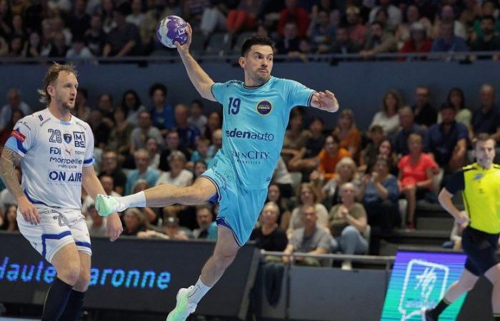 INTERVIEW. Fenix Handball: “It’s admirable what they did,” said Toulouse coach Danijel Andjelkovic after the success against Montpellier