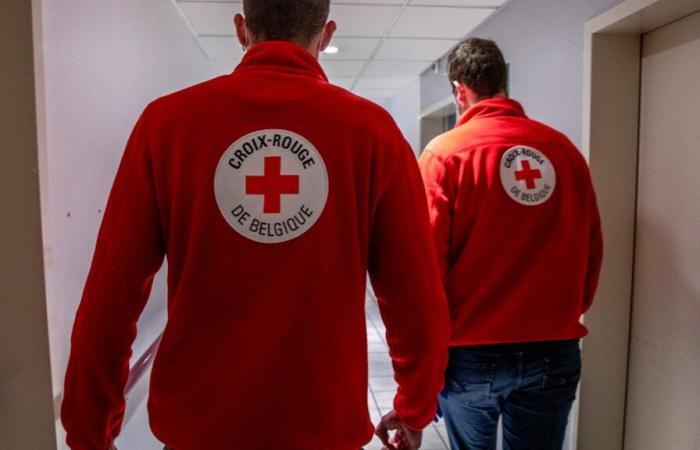A stroke of the head: violent assault in a center of the Red Cross, a resident arrested