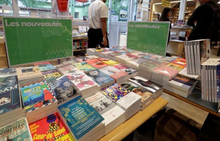 Controversy over the “disappearance” of the bullfighting of white shadows: the bookstore accused of “erase the taurine culture”