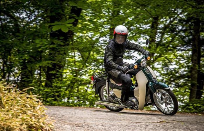 The little story of the Honda Super Cub scooter, the best -selling motorcycle in the world
