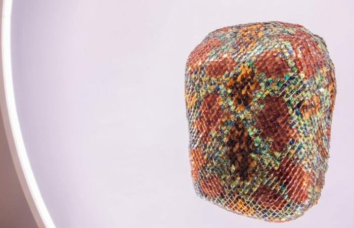 At Pitié-Salpêtrière, a work of art to relieve respiratory diseases