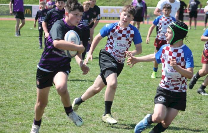 Rugby – Challenge Repiquet: U8, U10 and U12, RC Montceau Grande winner