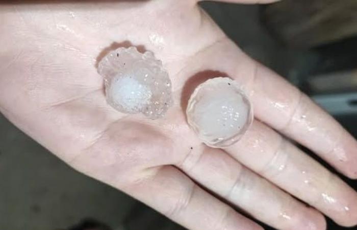 Video. “I was really afraid”, an impressive hail storm falls on this village