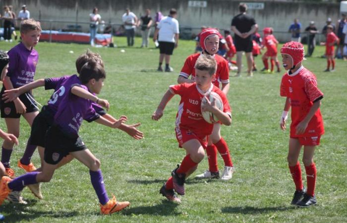 Rugby – Challenge Repiquet: U8, U10 and U12, RC Montceau Grande winner
