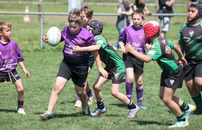 Rugby – Challenge Repiquet: U8, U10 and U12, RC Montceau Grande winner