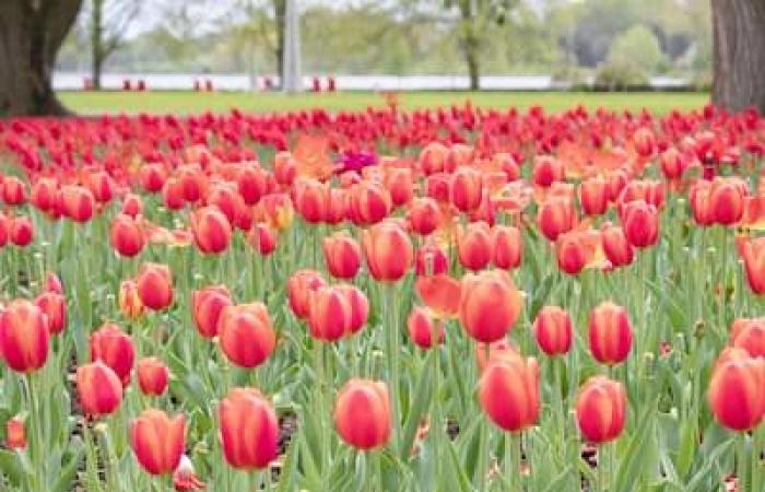 What to do during a getaway in Ottawa for a long weekend