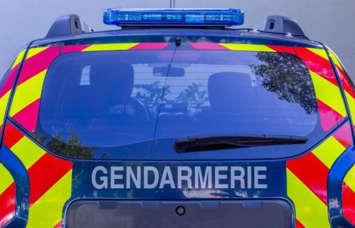 The spouse admits having killed his ex-wife