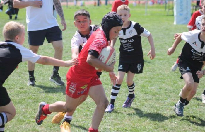 Rugby – Challenge Repiquet: U8, U10 and U12, RC Montceau Grande winner